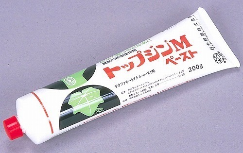 0202011300005.jpg