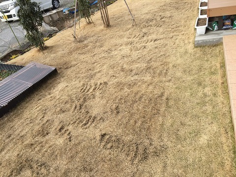 20160306目起こし.jpg