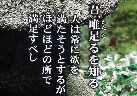 9748.jpg