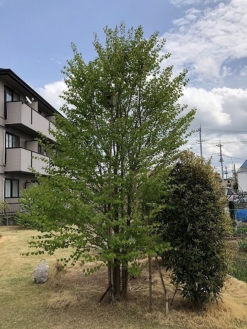 IMG_0514.jpg