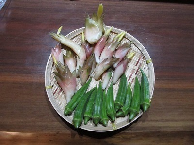 IMG_1963.jpg