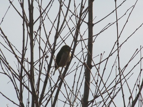 IMG_2677.jpg
