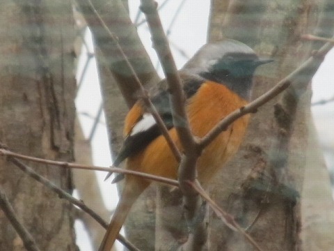 IMG_3018.jpg