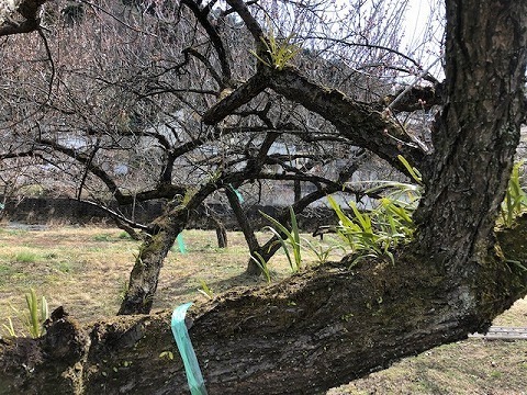 IMG_8486.jpg