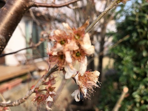 IMG_8686.jpg