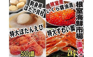 pd_a90c660a3d94a08bba3b577c56a0558868c9ece9.jpg
