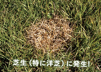 sec01_photo_1001.jpg