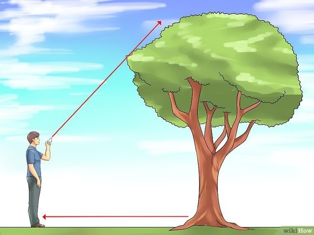 v4-760px-Measure-the-Height-of-a-Tree-Step-4-Version-2.jpg